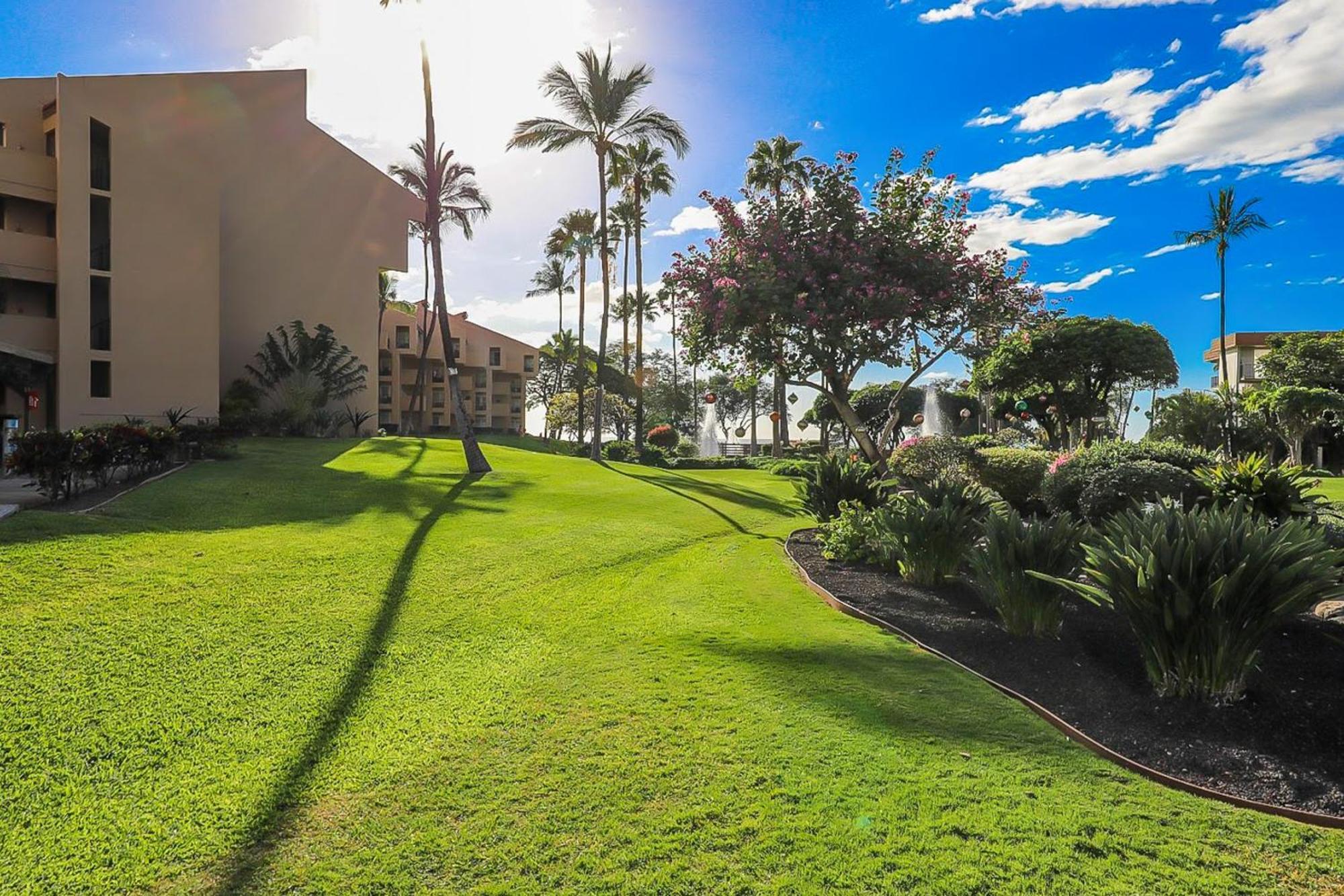 Kamaole Sands Wailea  Rom bilde