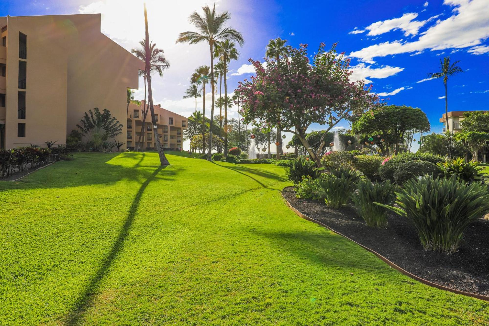 Kamaole Sands Wailea  Rom bilde